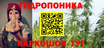 амф Лесосибирск
